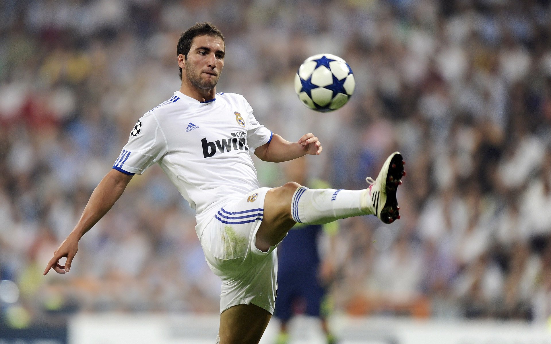 汉诺威胜利收官，德甲排名稳居中游，汉诺威属于德国哪个州